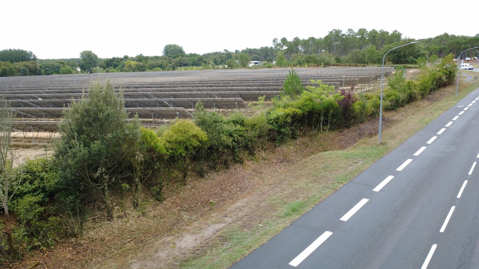 Site avant l'intervention de débroussaillement — réalisation 1